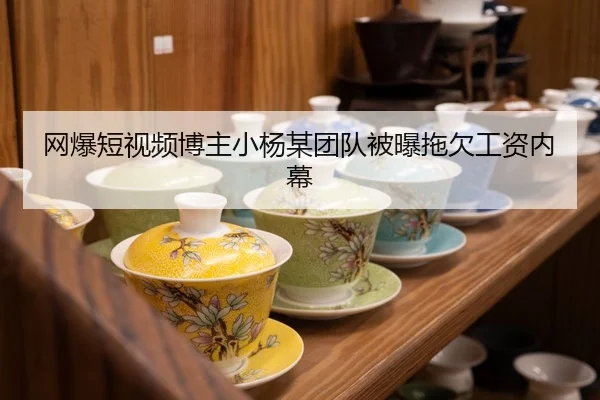 网爆短视频博主小杨某团队被曝拖欠工资内幕
